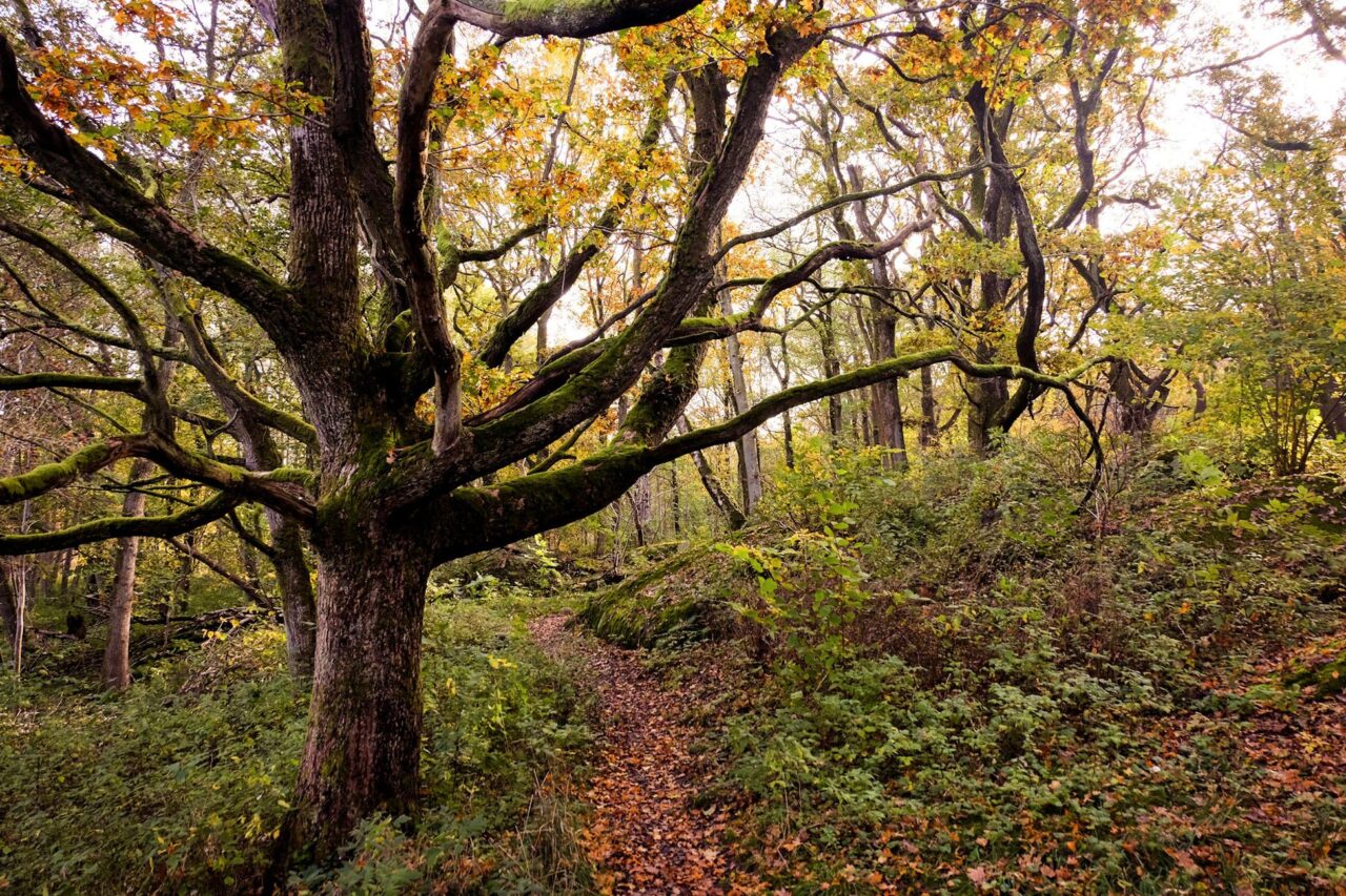 Trekking alle sorgenti della città