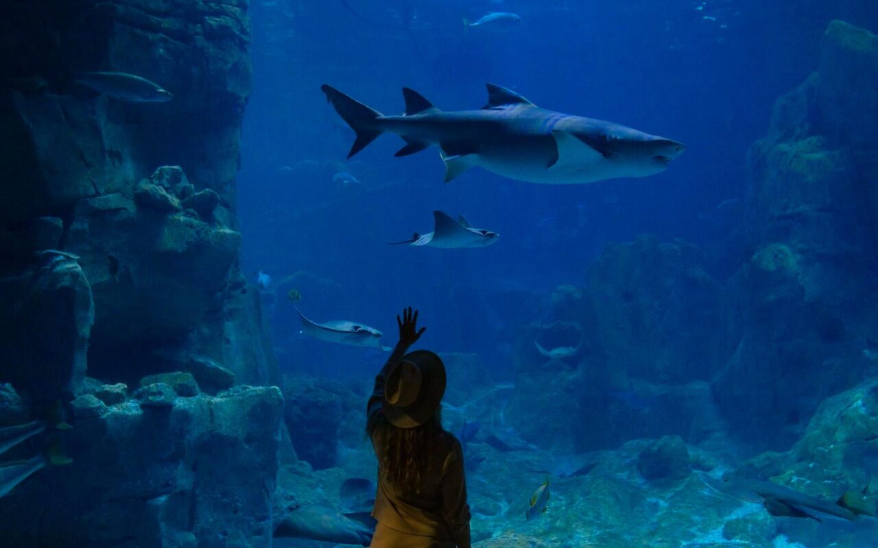 Dietro le quinte dell’Acquario di Livorno