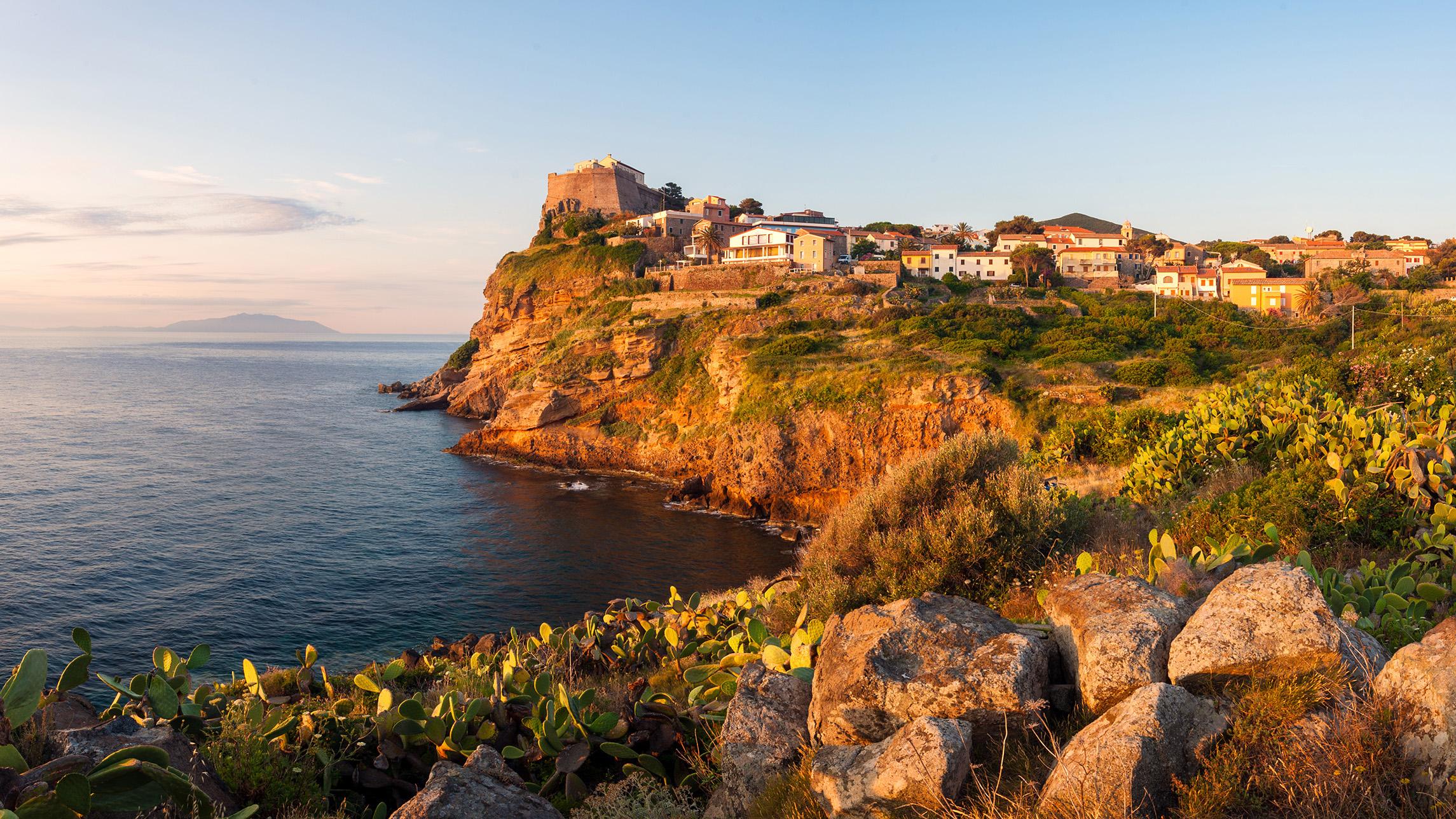 Guided mini-cruise to the island of Capraia