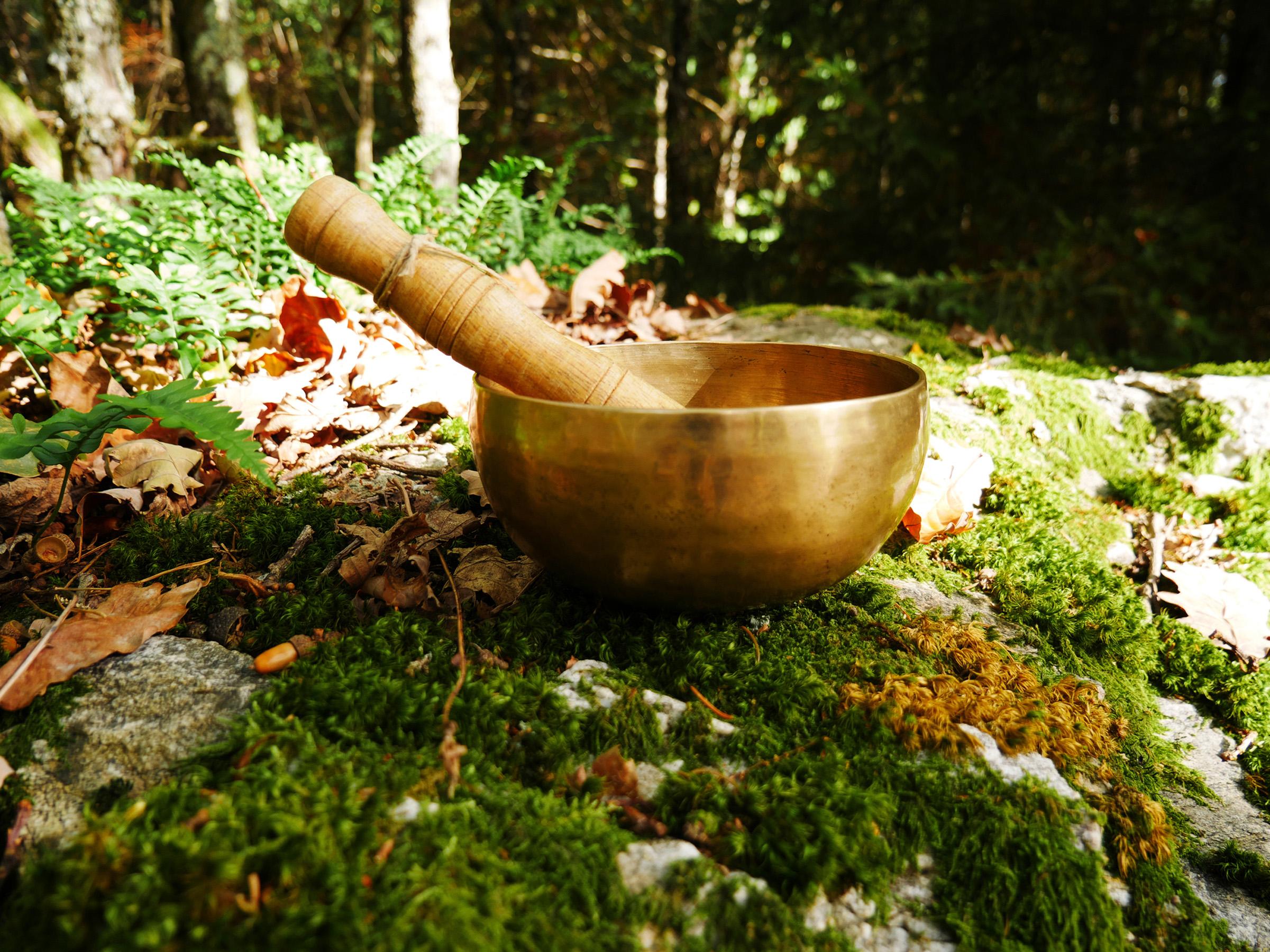 Vibrational meditation with tibetan bowls