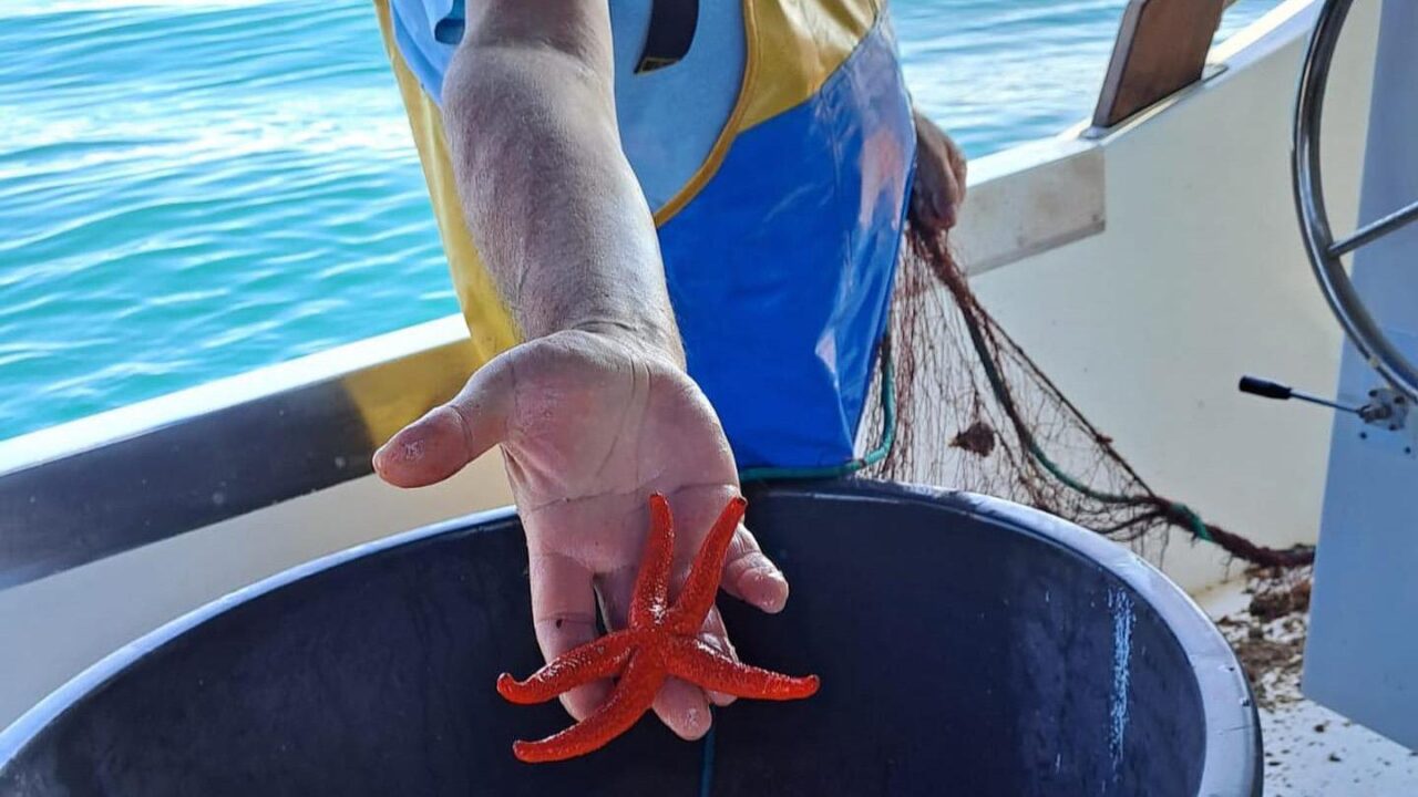 Escursioni sottocosta con bagni e pranzo a bordo