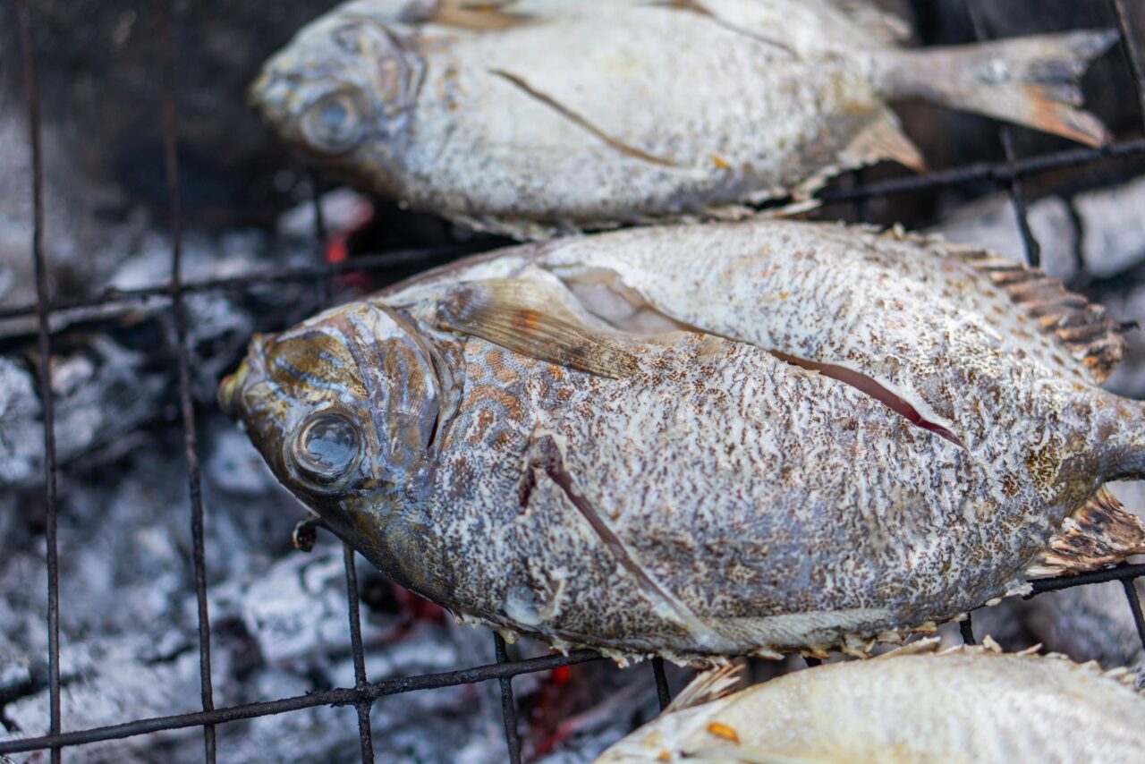 PescaTurismo, una giornata entusiasmante!