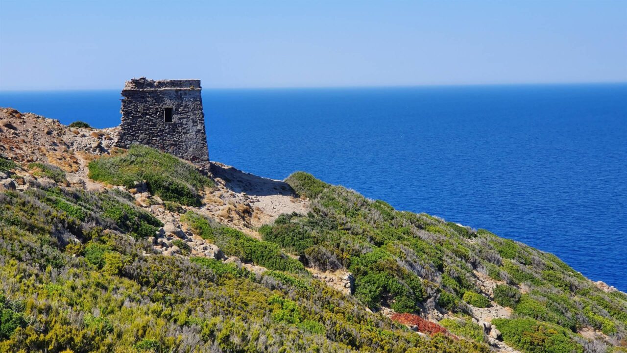 Minicrociera guidata verso l’isola di Capraia