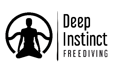 Fornitore dell'esperienza