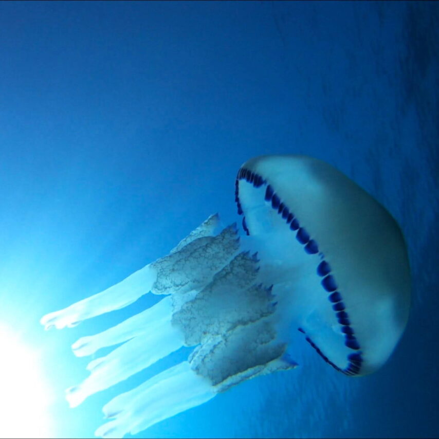 GH010280_1597733209290