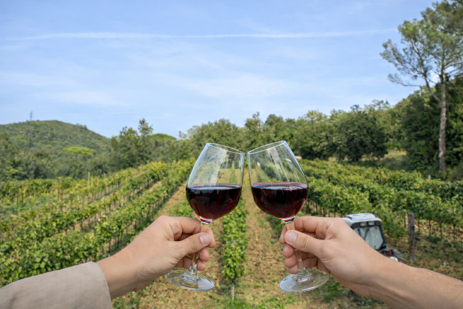 Degustazione vini e visita della cantina