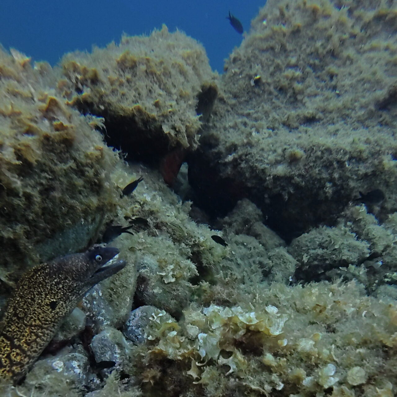 vlcsnap-2026-01-18-22h47m34s515_crop