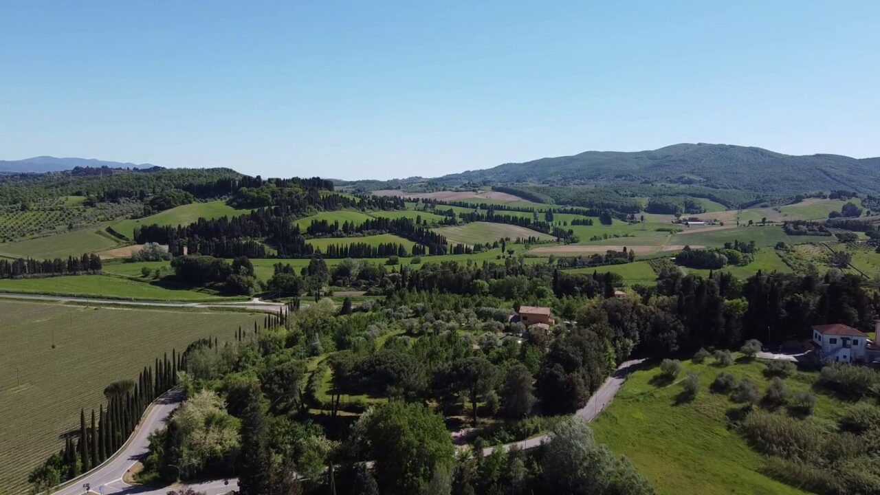 La collina del tartufo experience