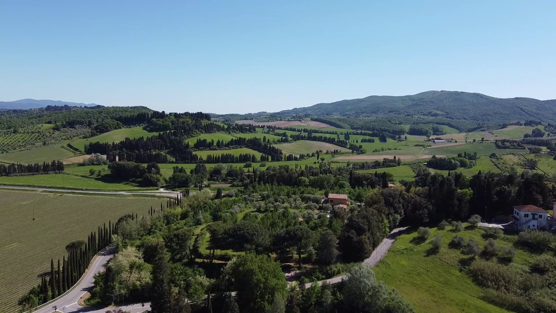 La collina del tartufo experience