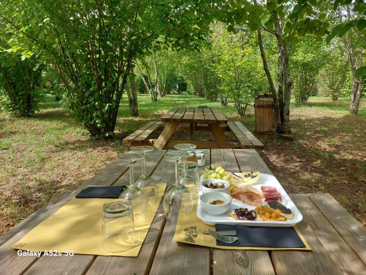 collinadeltartufo3