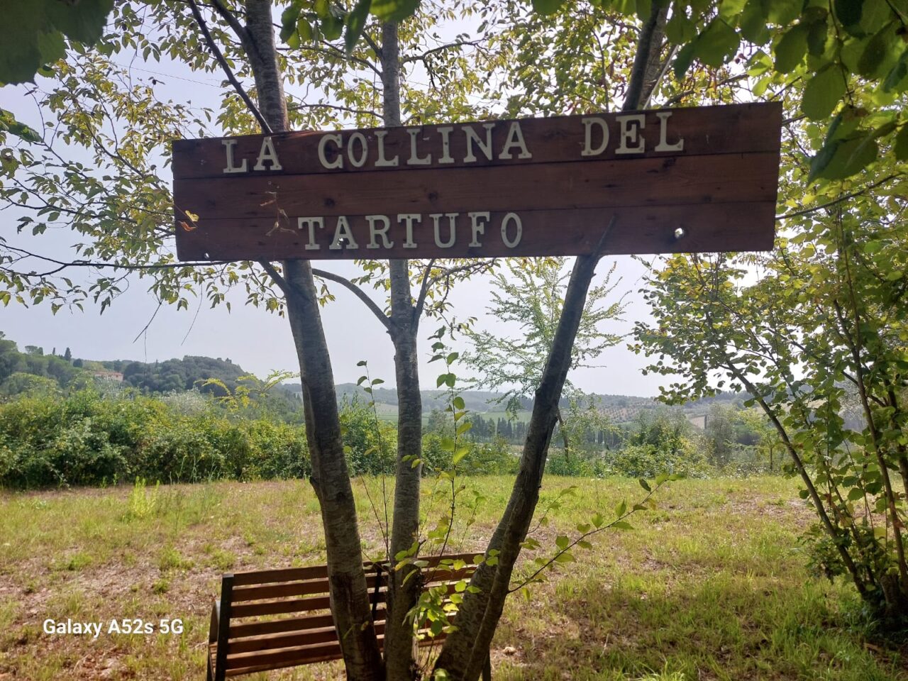 collinadeltartufo5