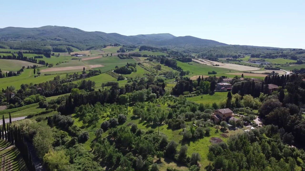 lacollinadeltartufo-2