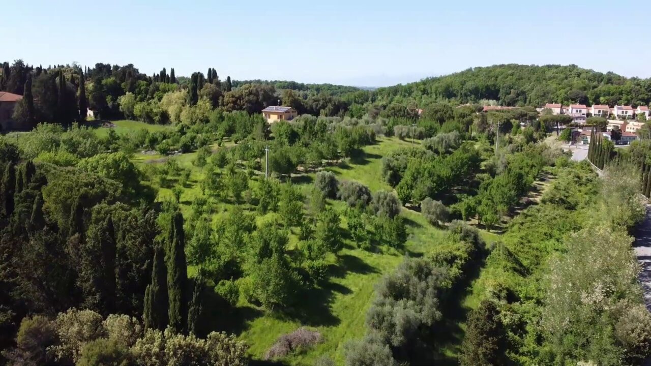 lacollinadeltartufo-3